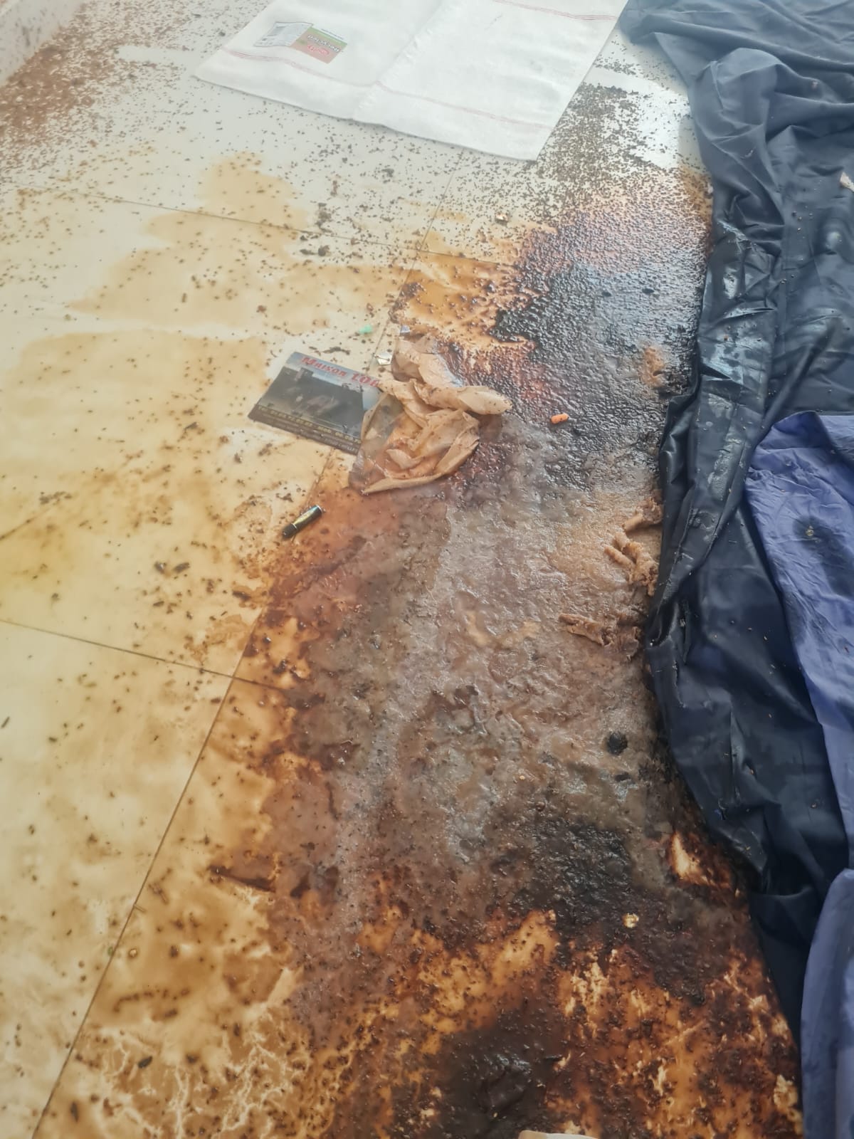 Faut-il engager un huissier pour constats avant et après nettoyage ? WhatsApp Image 2025 04 18 A 17.15.45 1a9338eb